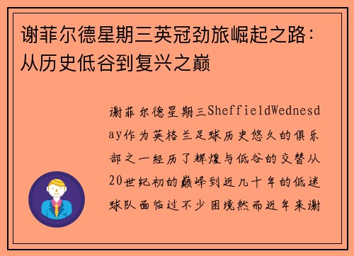 谢菲尔德星期三英冠劲旅崛起之路:从历史低谷到复兴之巅 谢菲尔德星期三英冠劲旅崛起之路:从历史低谷到复兴之巅