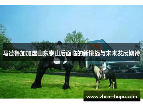 马德鲁加加盟山东泰山后面临的新挑战与未来发展期待